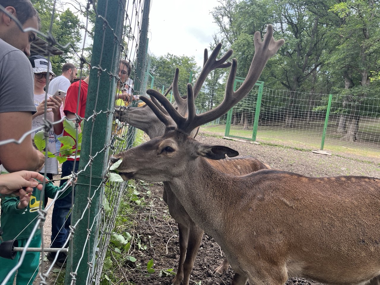 View of Dilijan Deer Farm